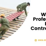 Why Hire Professional Roofing Contractors?