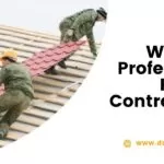 Why Hire Professional Roofing Contractors?