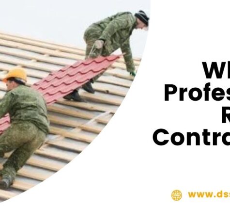 Why Hire Professional Roofing Contractors?