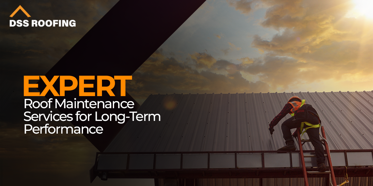 Roof maintenance Services