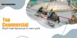 Commercial Roof Maintenance In New York