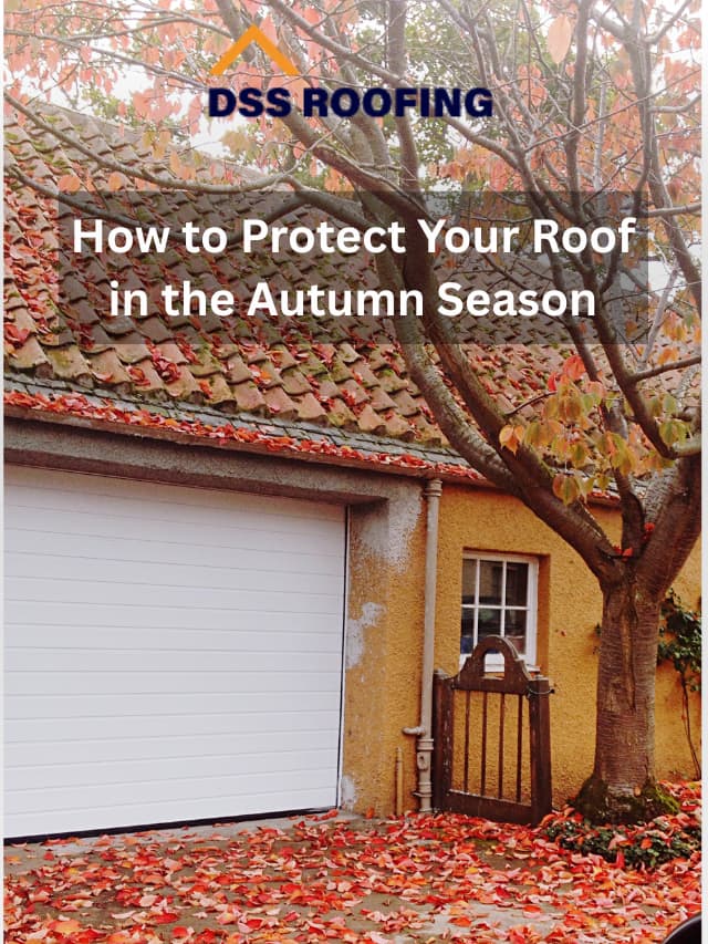 How to Protect Your Roof in the Autumn Season